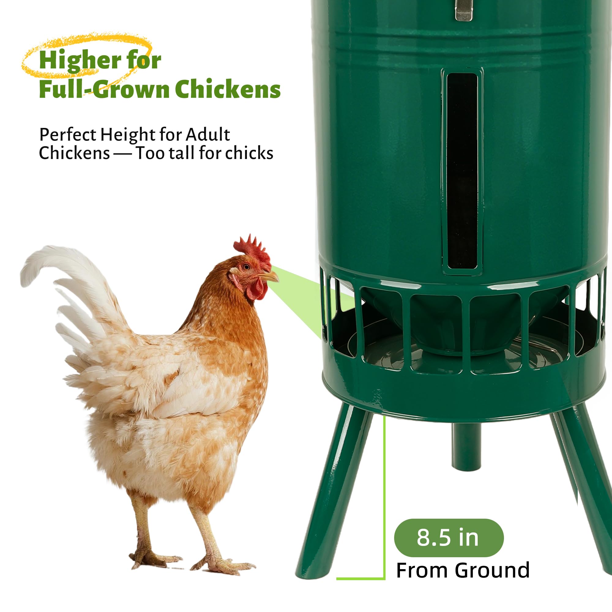 KOL Mangiatoia per polli in metallo, 22,7 kg, nessun spreco, nessun intasamento, design con 16 porte e flusso gravitativo liscio, verniciata a polvere antiruggine per uso Coop (verde)