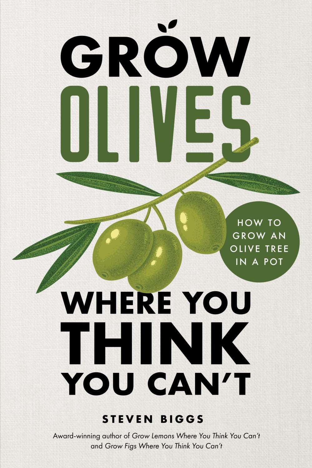 Grow Olives Where You Think You Can’t: How to Grow an Olive Tree in a Pot