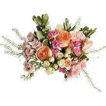 UrbanStems Spring Fling Bouquet No Vase. Peach Fresh Flowers for Delivery | Birthday, Miss You, Baby