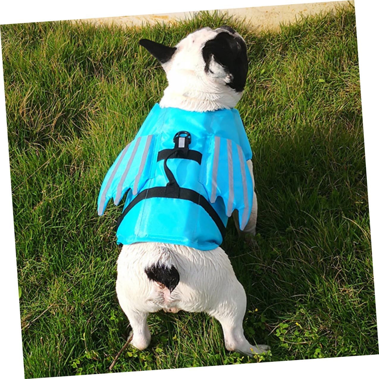 Abaodam Reflective Dog Swimsuit Life Jacket with Wings, Wear-Resistant Breathable Vest for Outdoor Swimming, Blue M Size Pet Accessory for Safety and Rescue
