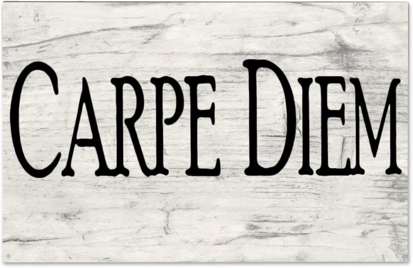 godblessign Carpe Diem Plaque Sign, Seize The Day Wood Wall Hanging Signs, Wall Decorations for Living Room, Modern Farmhouse Wall Decor, Rustic Home Decor 10x16x0.2