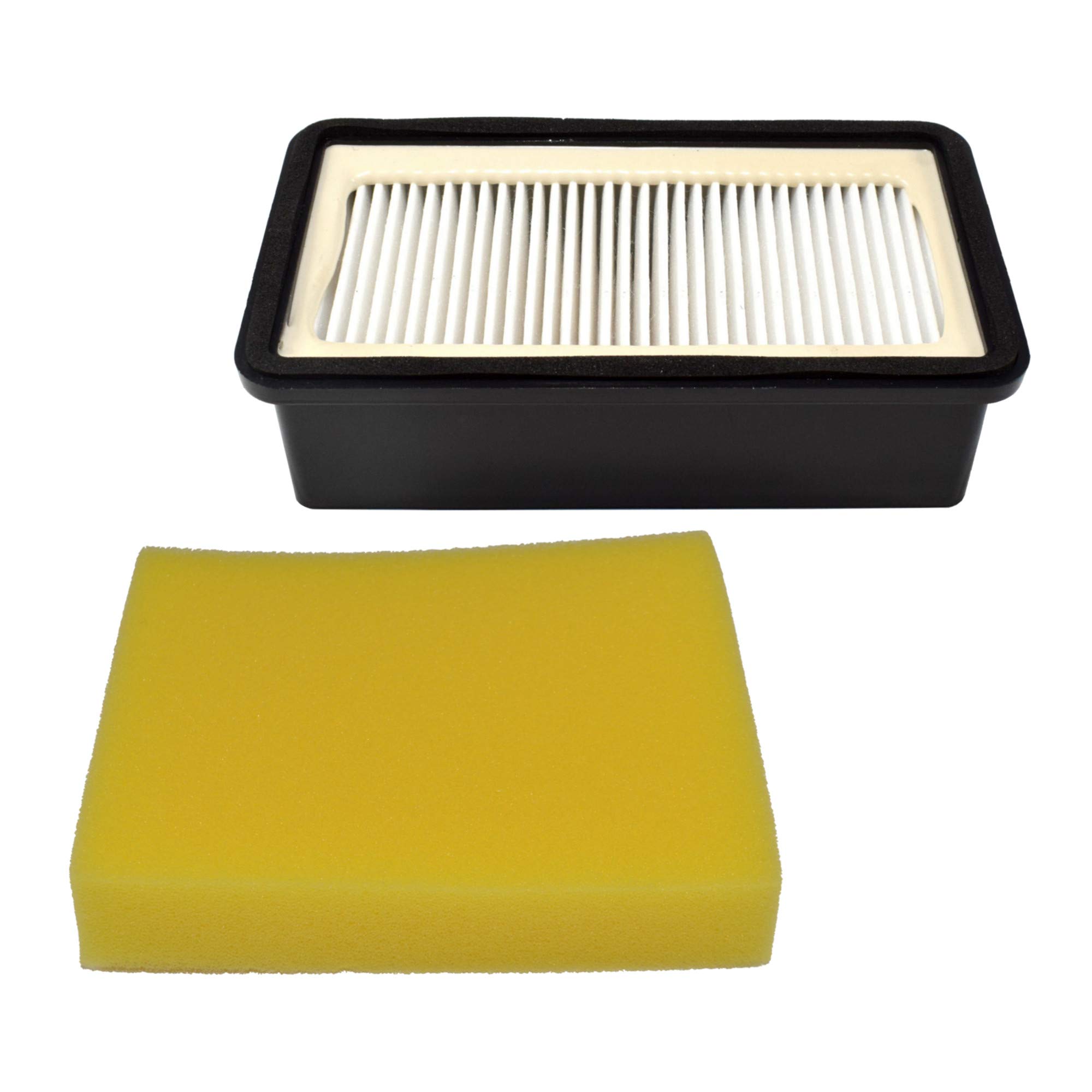 HQRP Filter Set Compatible with Bissell CleanView 1008 fits 1813 1825 1831 1834 1836 1837 1838 1243 1319 2383 2410 2412 3247 3583 3918 4207 7482 7636 8531 8532 9595 1816 series Upright Vacuum Cleaner