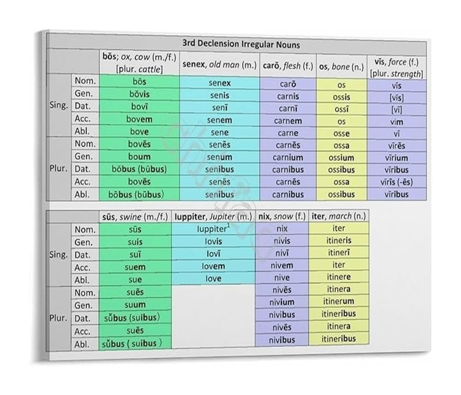 RNUMLIGH Latin Study Guide Third Declension Irregular Nouns Grammar Poster Canvas Wall-Art for University Classics Dept