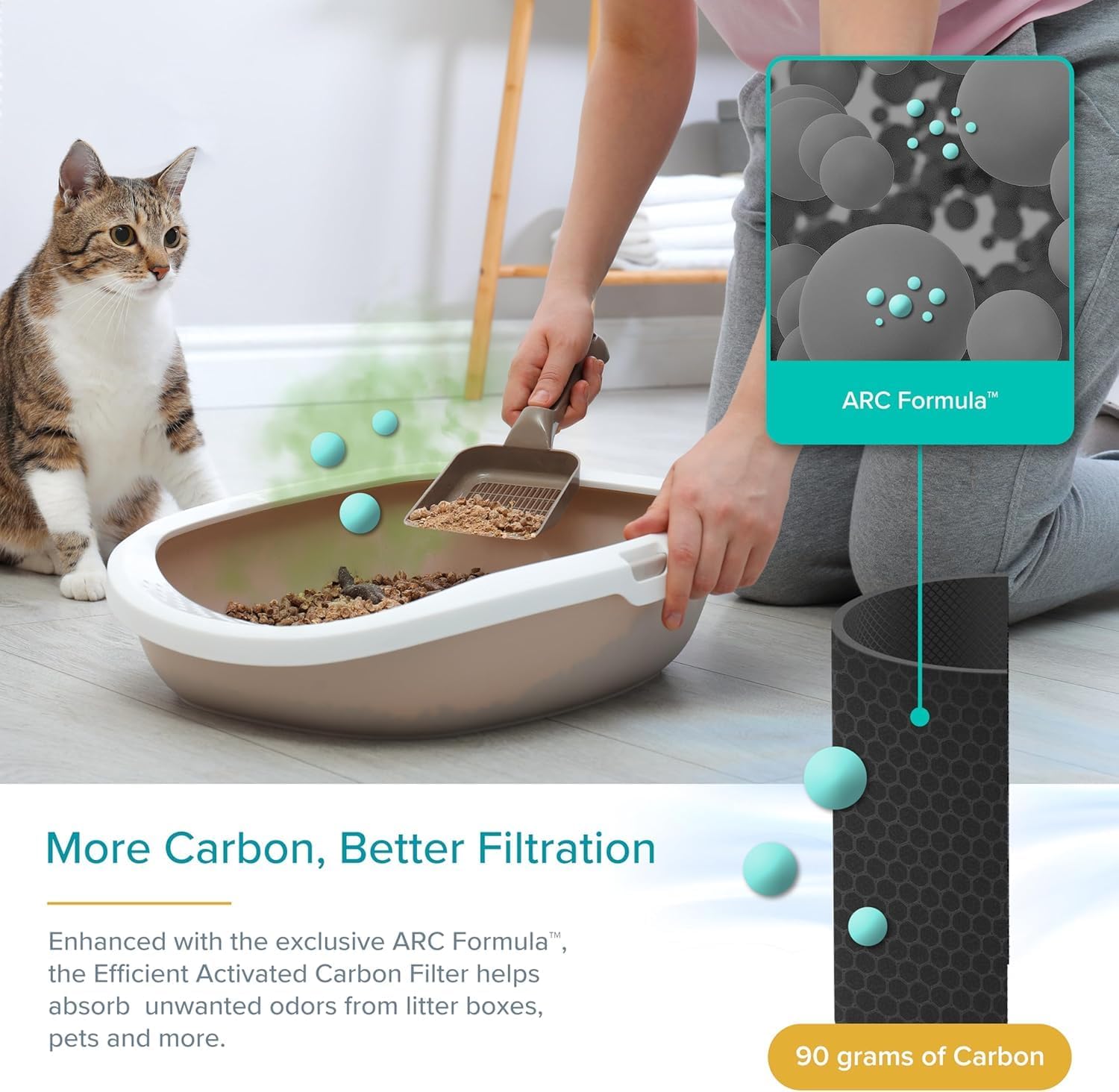 آریگرام ARC فارمولہ اور کاربن جذب دکھا رہا ہے۔