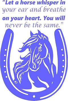 Equestrian Horse Wall Decals for Girls Rooms/Girl Horses Animals Horseback Riding Sport Jumping Vinyl Art Decor Stickers/Country Saddle Lucky Horseshoe Quotes Quote Size 20x20 inch