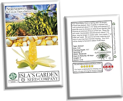 Miniatura 5 de "Serendipity" maíz dulce tricolor bicolor, más de 100 semillas por paquete, semillas de jardín de Isla (semillas de jardín de Isla), semillas sin
