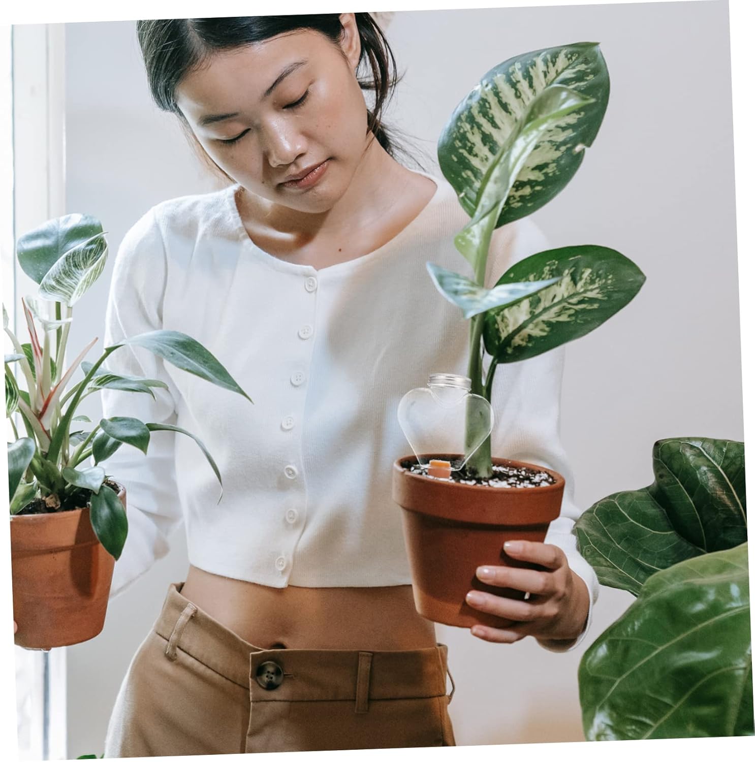 GANAZONO 4pcs Automatic Watering Device for Plants Watering Globes Pointed Tip Design for Easy Insertion for Garden Patio and Lawn Care