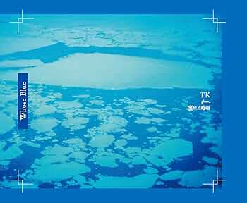 Amazon.co.jp: 【限定特典クリアポーチ付き】 TK from 凛として