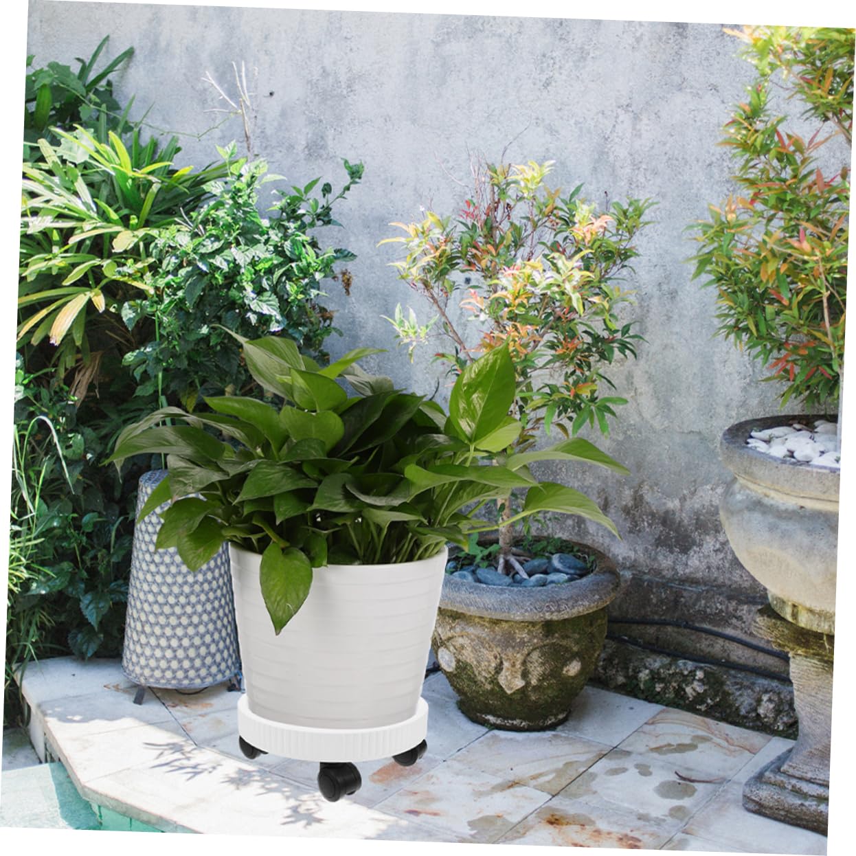 VICASKY Chariot à Plantes à roulettes Rond en Plastique Blanc, Support Stable et Mobile pour Pots de Fleurs, pour Couloirs et Salon