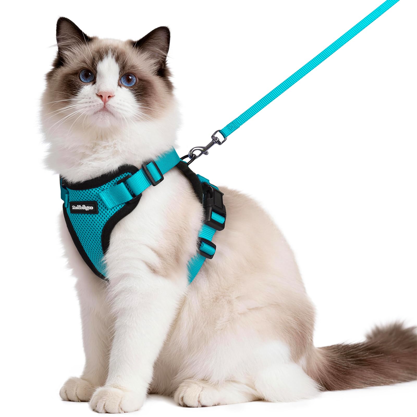 rabbitgoo Cat Harness and Lead Set, Adjustable Escape Proof Cat Lead for Walking, Reflective Kitten Harness Set, Soft and Comfortable for Kittens and Small Cats, Teal, M
