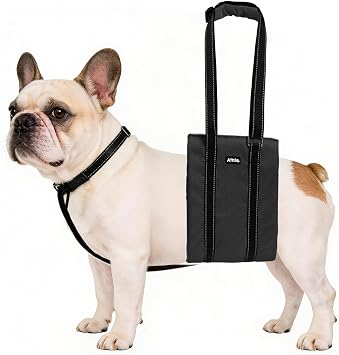 AIITLE Dog Slings for Small Dogs - Adjustable Reflective Dog Lift Harness with Anti-Slip Collar for Senior Dogs, Hind Leg Weakness, Hip Dysplasia, ACL Surgery Black, S