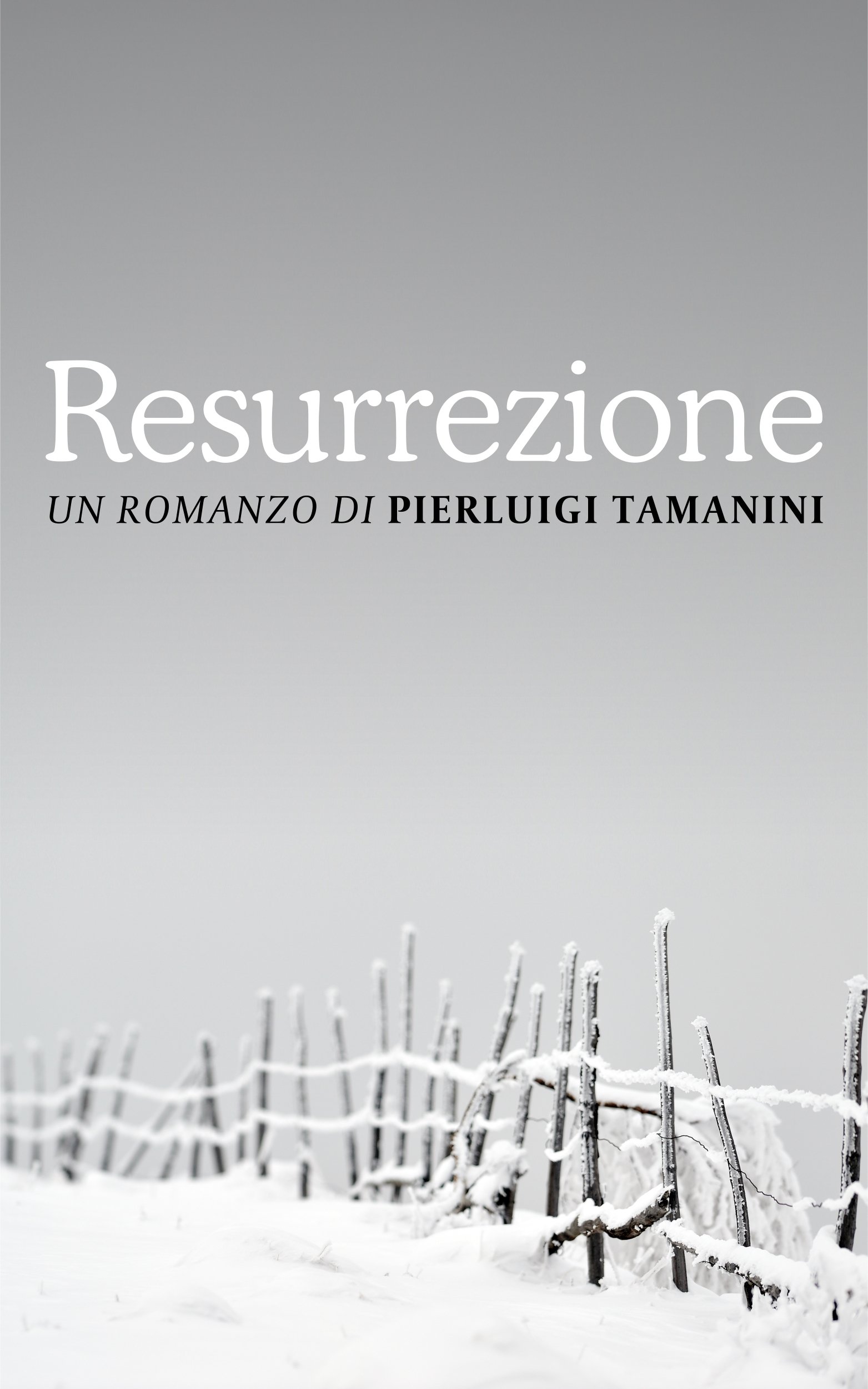 Resurrezione: un'avventura into the wild, ovvero un viaggio nella solitudine dei boschi, nella neve scura della mente: una corsa contro il tempo sulle ... per un suicidio perfetto (Italian Edition)