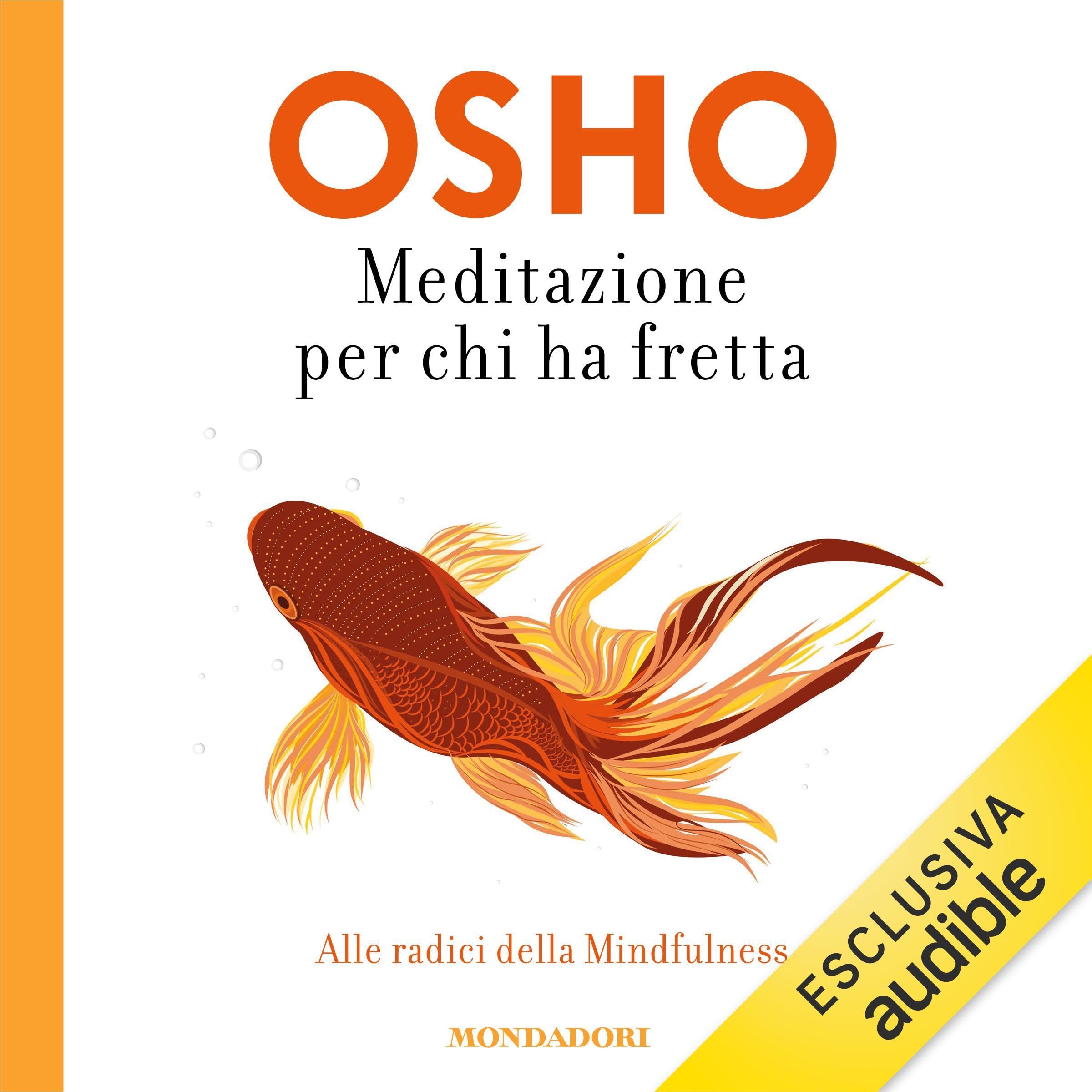 Meditazione per chi ha fretta: Alle radici della Mindfulness