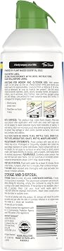 Raid Essentials Fly, Gnat & Mosquito Killer Aerosol Spray, Safe for Use Around Children and Pets, 10 oz