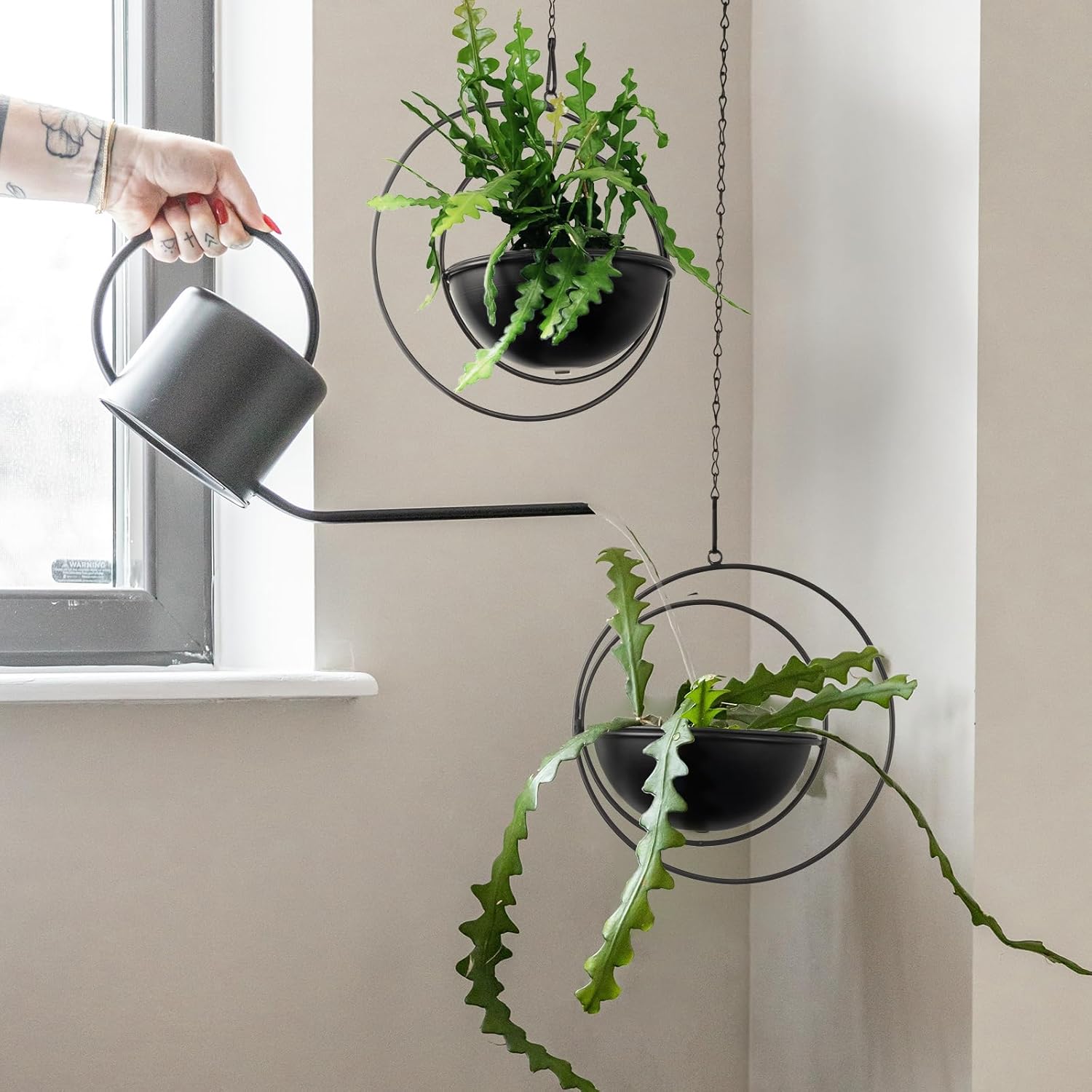 Hajia 2 Pack Moon Shaped Hanging Plant Holder with 8 Inch Detachable Pot, Black Metal Plant Hanger for Indoor Outdoor, Minimalist Hanging Planter for Wall Ceiling Decor.(with Drainage Holes)