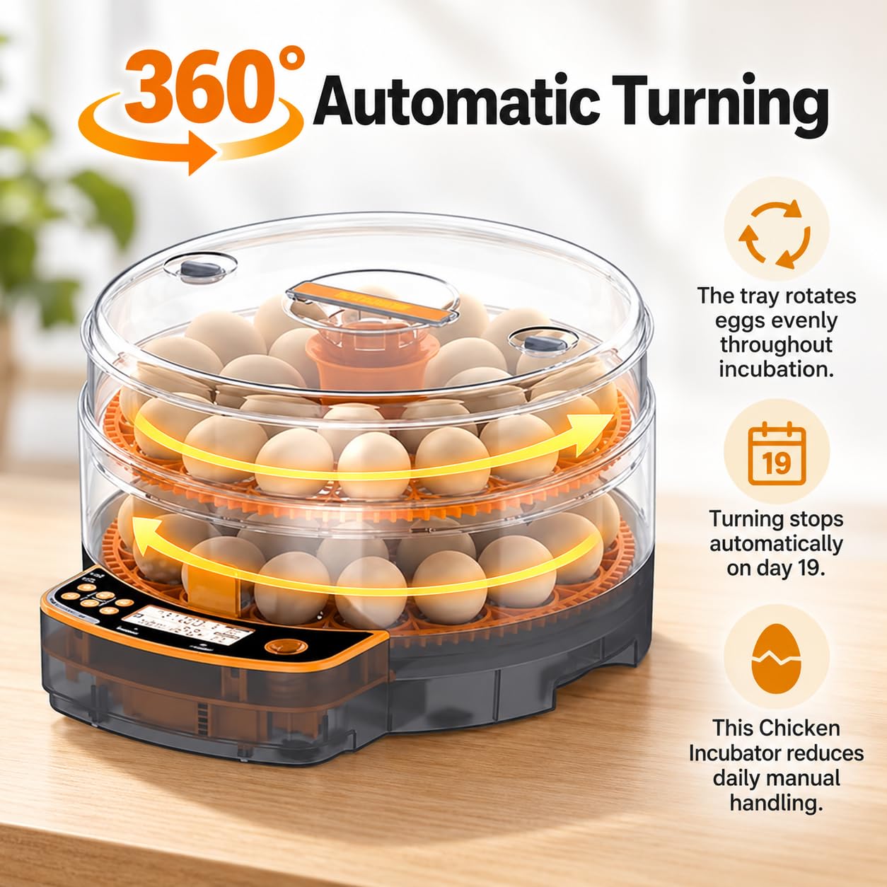 Incubateur d'œufs, 24/48 œufs, rotation automatique à 360°
