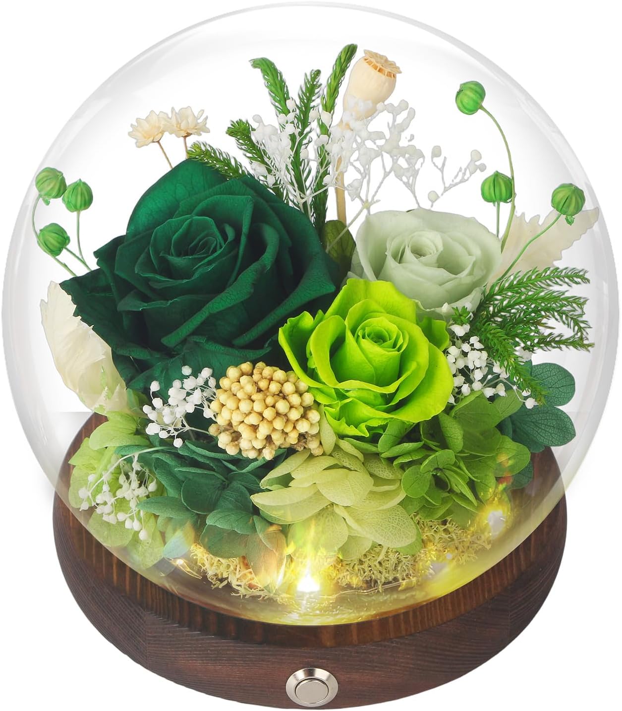Green Preserved Flowers in Glass Dome, Forever Rose Globe with Gift Box, Birthday Gifts for Women, Mom, Wife, Girlfriend, Home Decor, Flowers for Delivery Prime