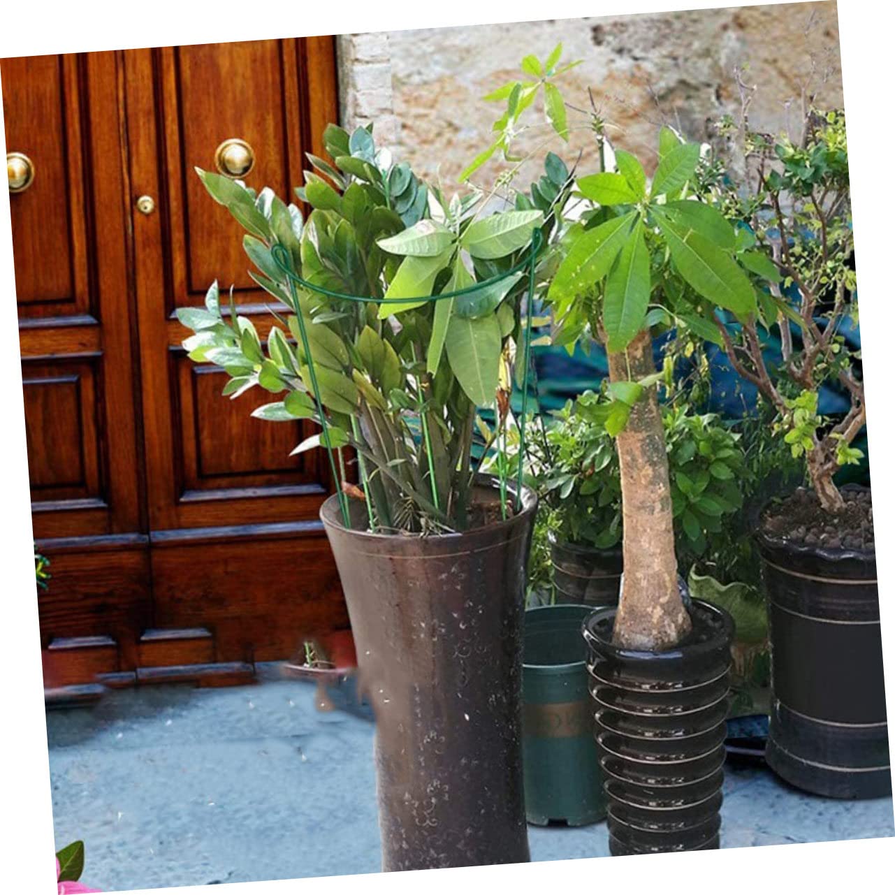 Toyvian Tuteur de Support pour Plantes Demi-Rond 6 Pièces en Fer Vert