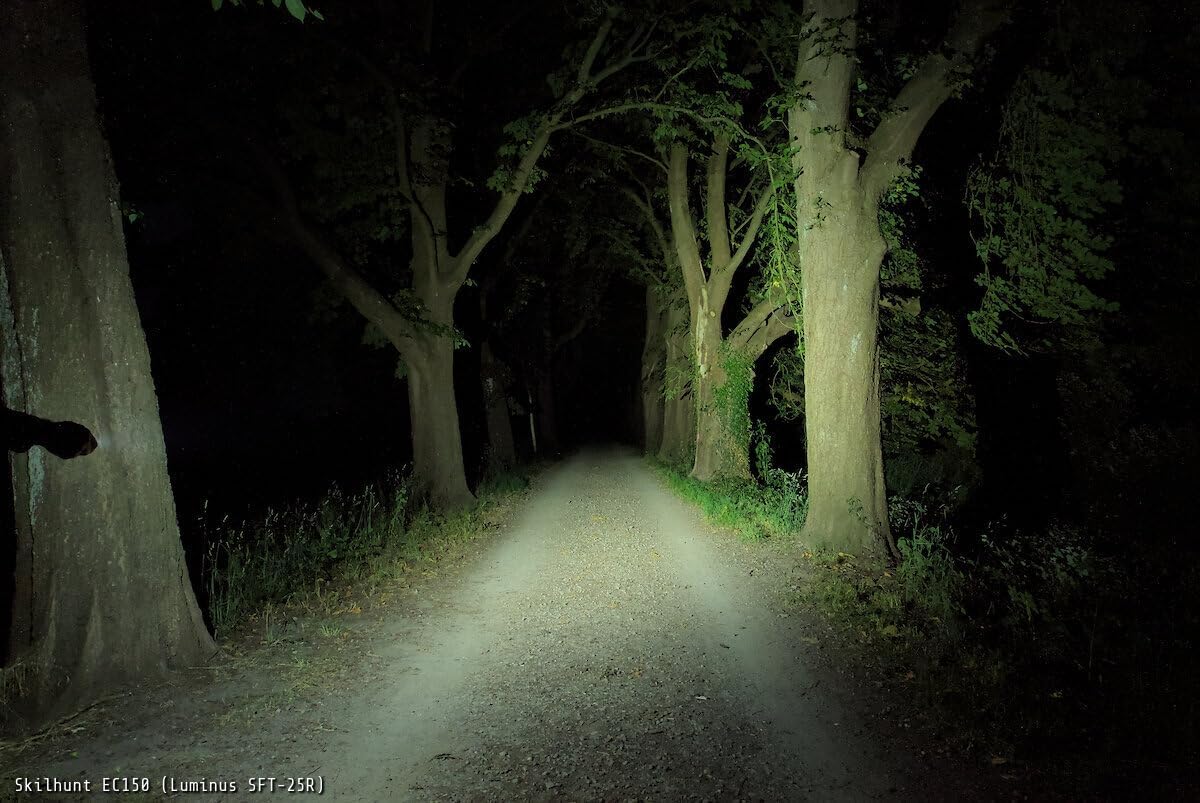 SKILHUNT EC150 USB-C Rechargeable Pocket Flashlight Compact Mini LED Torch for Everyday Use, Waterproof and Durable EDC Light (Cool White SFT25R, Orange)