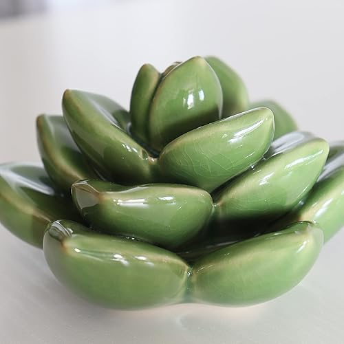 Vista 16 de Mesa de cerámica suculenta flores con base estable, mesa decorativa hecha a mano 3D (Cactus)