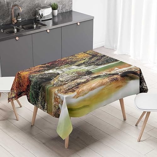 Waterfall Decor Collection Mantel rectangular para mesa, mesa de pícnic rectangular a prueba de polvo y arrugas, 54 x 72 pulgadas