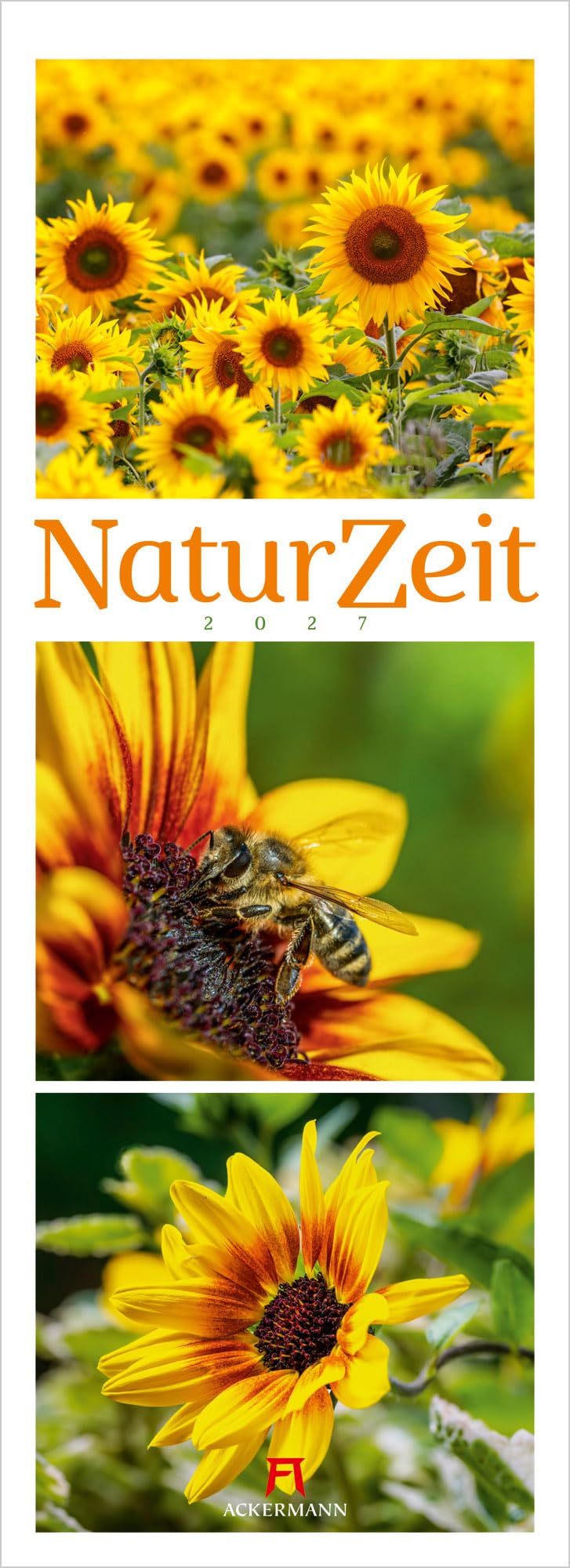 NaturZeit Triplet-Kalender 2027: Hochwertiger Natur-Kalender im schlanken Hochformat (24x66 cm) | Dekorative Triplet-Fotografie aus der Natur