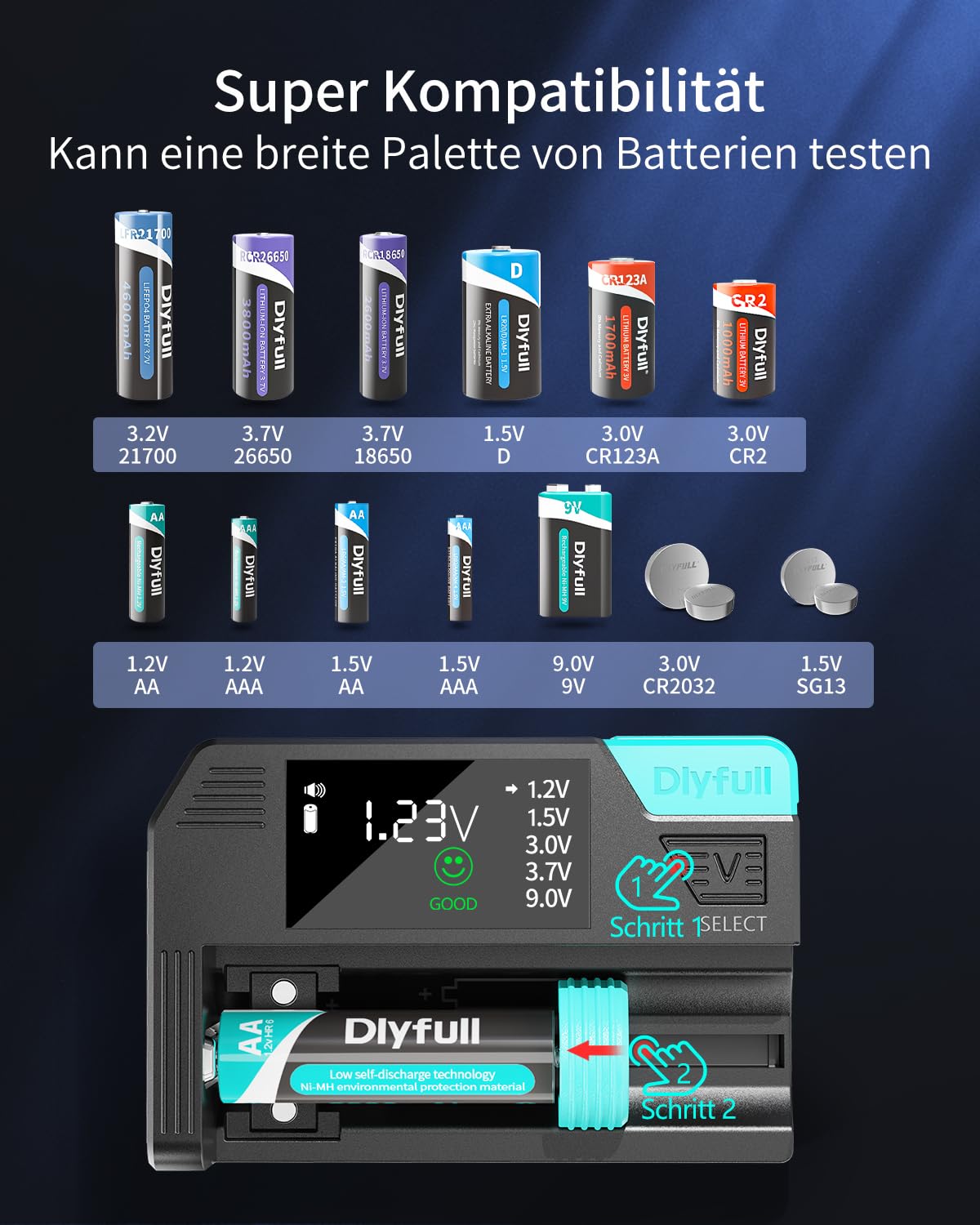 Dlyfull Tester professionale per batterie con display LCD per AA AAA C D 9V batterie a bottone 1,2V 1,5V 3V 3,7V