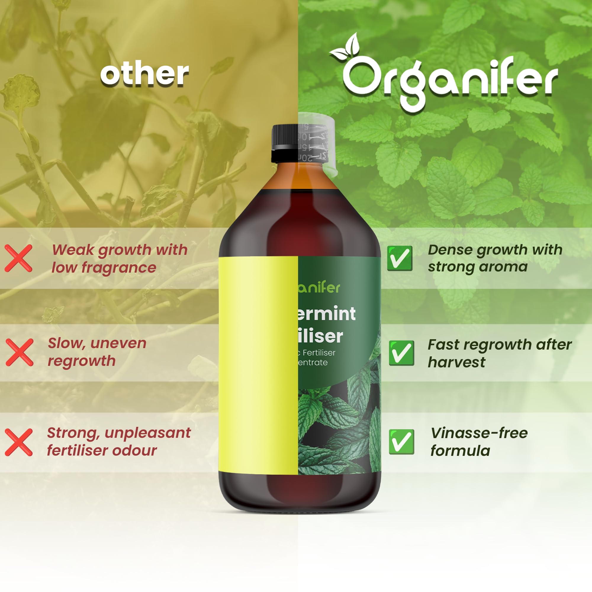 Flüssigdünger Für Pfefferminze 2L – Organischer Dünger Für Kräftiges Wachstum Und Aromatische Blätter – Fördert Wurzeln Und Widerstandskraft – Organifer