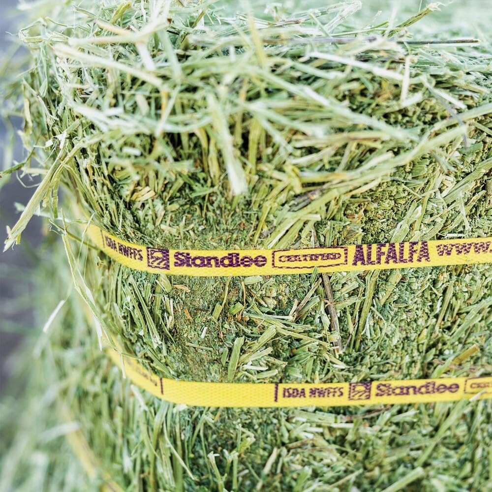 STANDLEE HAY Company 1100-20010-0-0 Alfalfa Bale, 50 lb