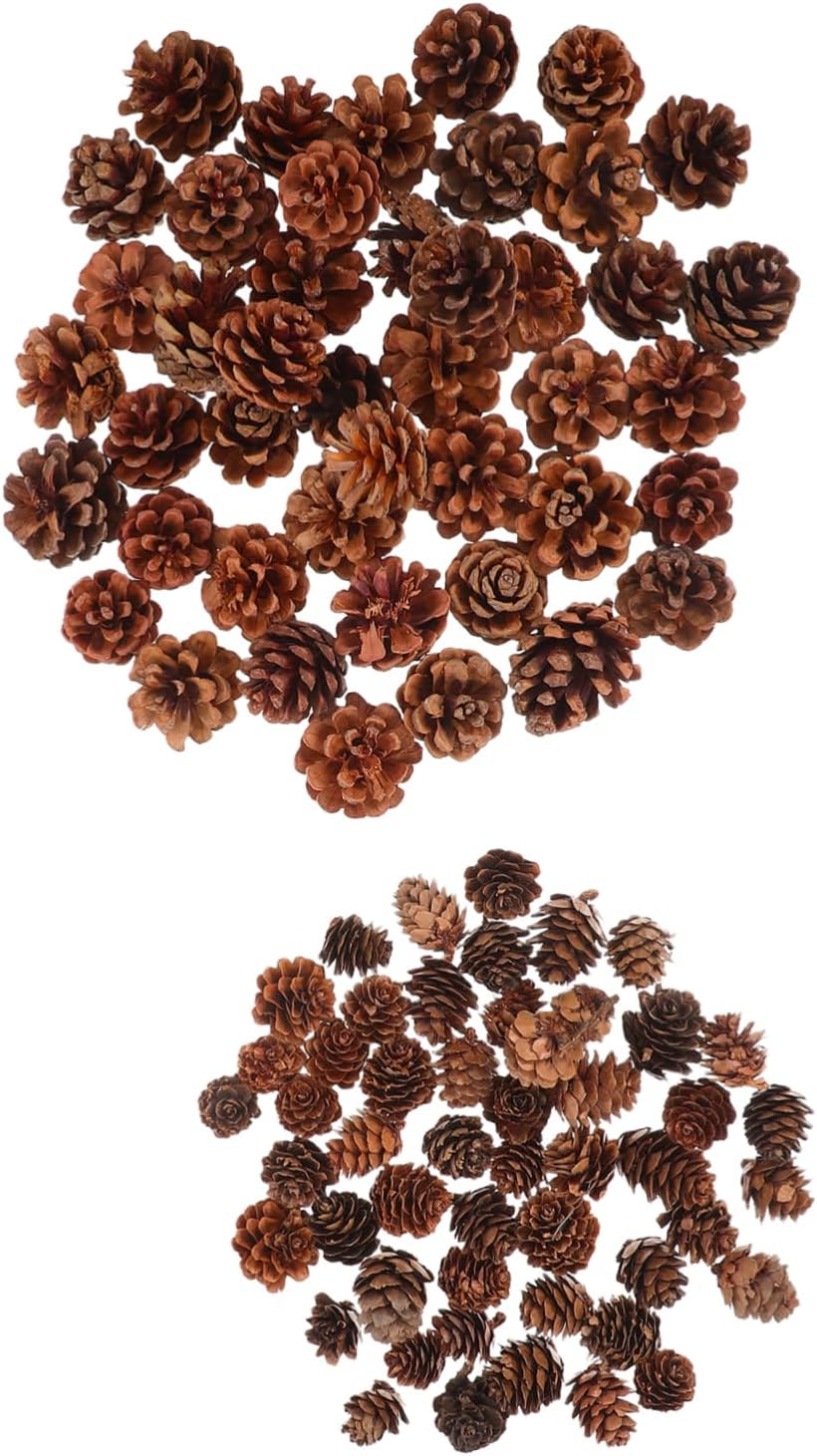 DOITOOL 150Pcs Natural Pine Cones Small Acorns for Crafting DIY Supplies Vase Fillers Seasonal Autumn Holiday Decorations Rustic Home