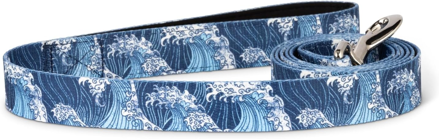 Salty Paws Blue Wave Dog Leash 6 Foot | Coastal Ocean Beach Surf Leash, Neoprene Handle| | Large