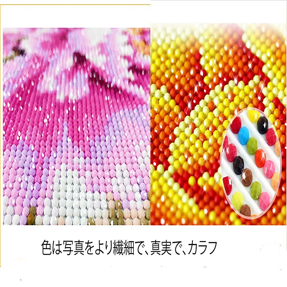 ディズニー クリスタルアート Amazon | Zhongyu DIY 5Dダイヤモンド塗装キット、30x40cm