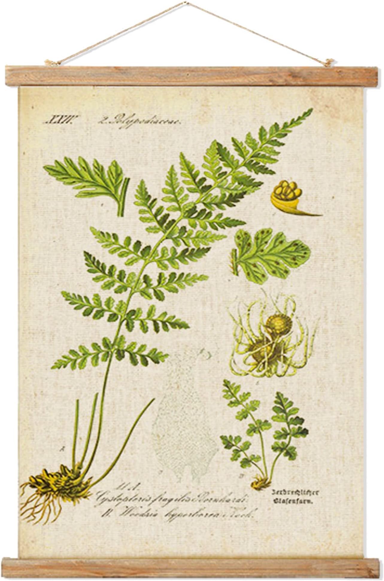 Vintage Fern Poster Hanger Frame, Retro Style Wall Art Prints, Printed on Linen with Natural Wooden Frames, Wall Hanging Decor