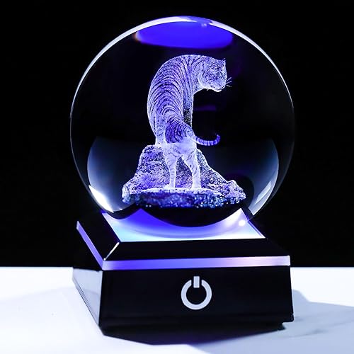 Vista 19 de Enjinkail Bola de cristal 3D, tortuga marina, regalos para mujeres y hombres, adorno de globo de nieve con base LED, luz nocturna, figuras