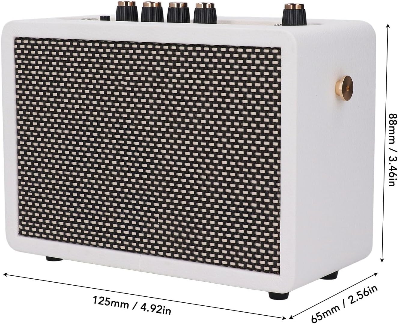 Dimensions of the Eujgoov iG-10Pro guitar amplifier, showing width, height, and depth
