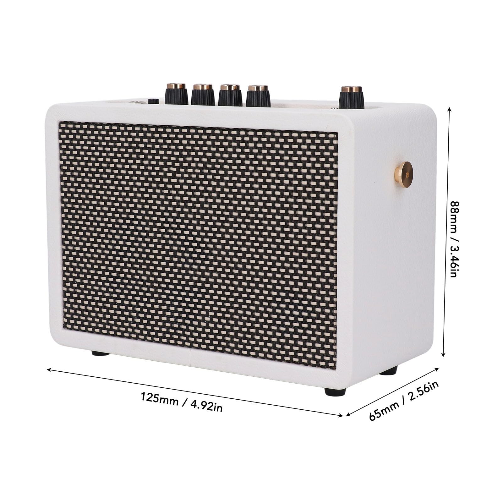 IG-10Pro Kleiner Gitarrenverstärker, 10-W-Desktop-Übungslautsprecher für E-Gitarre mit 3-Zoll-Lautsprechereinheit