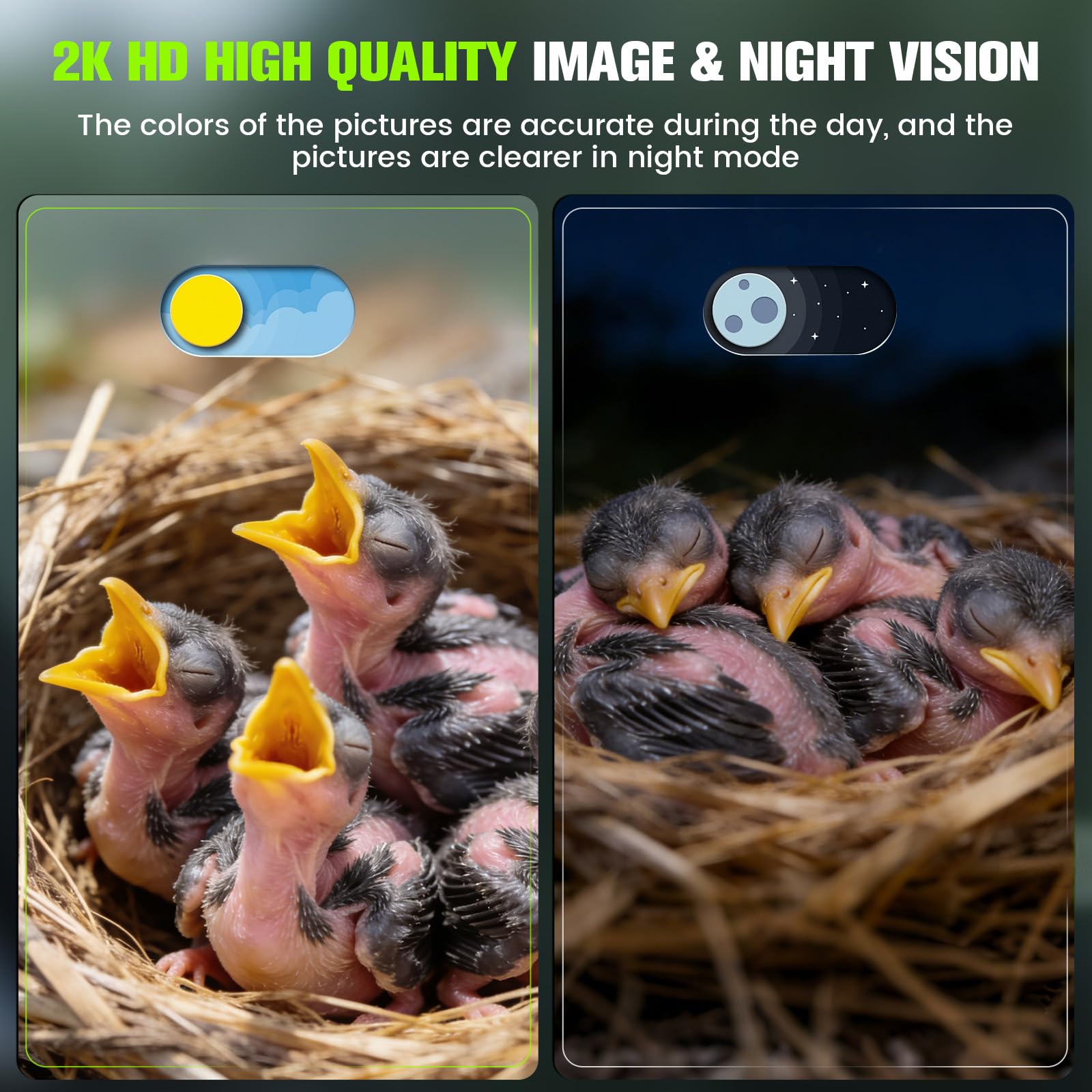 Vogelhaus mit 2K HD Kamera, Solar Panel, 2,4G WiFi & App