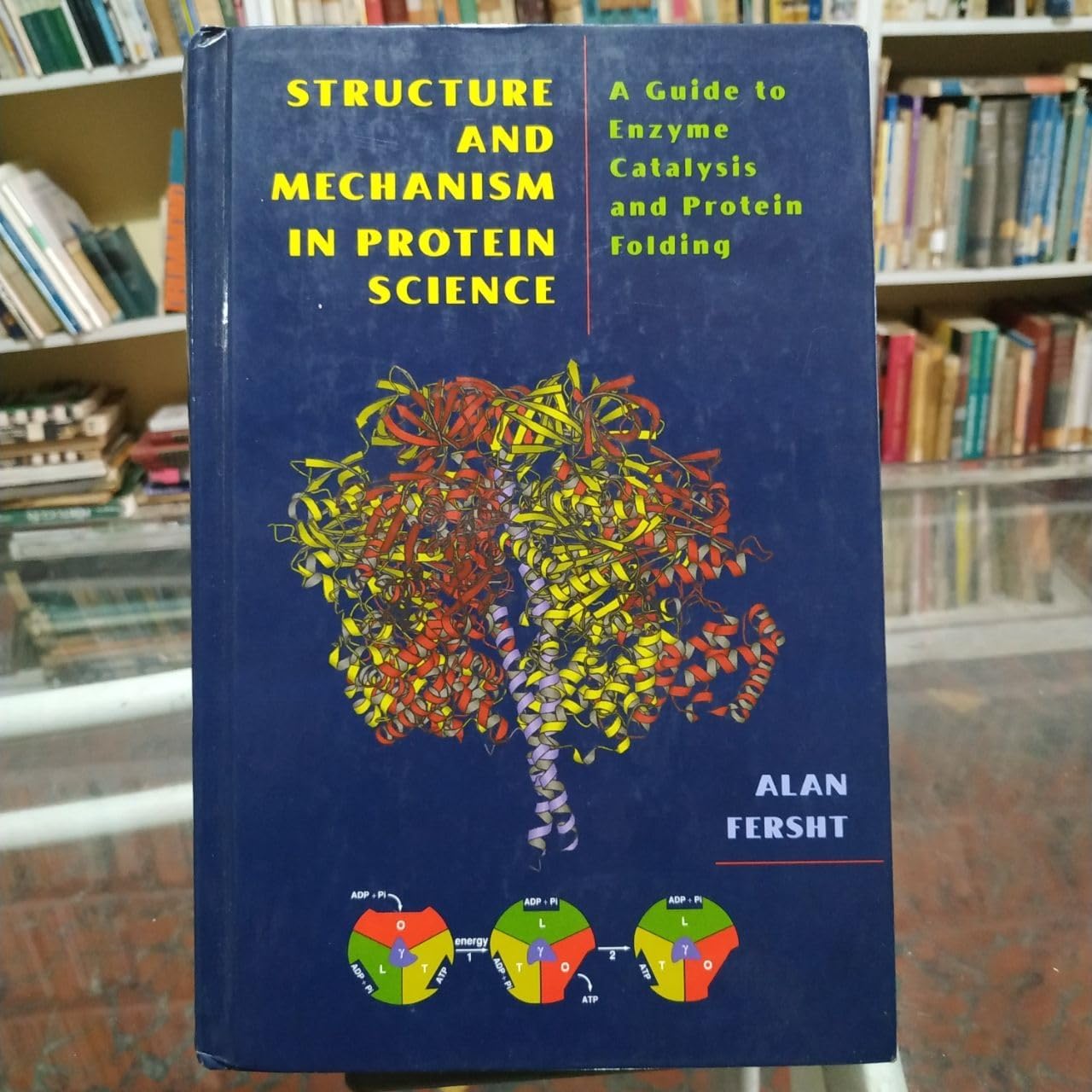 Structure and Mechanism in Protein Science: A Guide to Enzyme Catalysis and Protein Folding