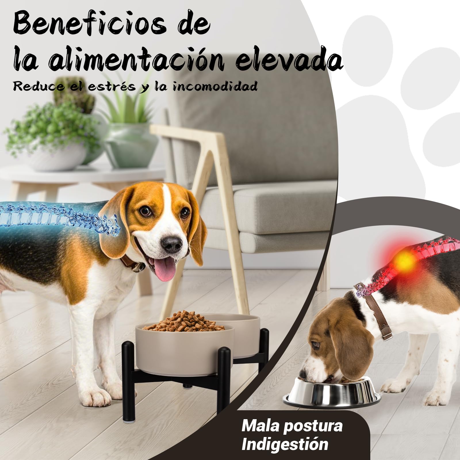 Comedero Perro Elevado de Cerámica - Cuenco Doble con Soporte de Acero Inoxidable - Platos para Perros Pequeños y Medianos - 660 ml x 2 - Negro