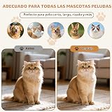 Ver la foto 8