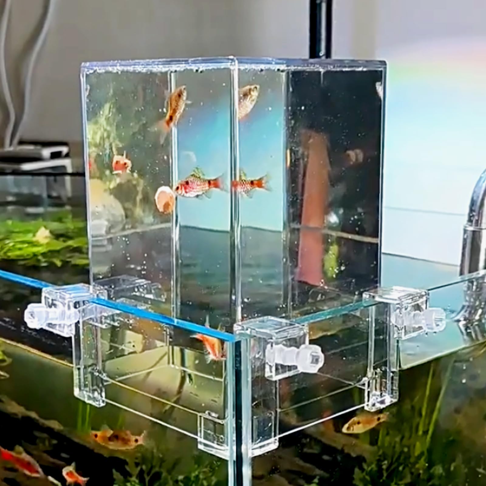 GarveeLife Tour d'Aquarium Inversé en Acrylique Transparent Réservoir à Pression Négative Remplissage Automatique Design Suspendu Plus d’Espace d’Activité Circulation d’Oxygène –