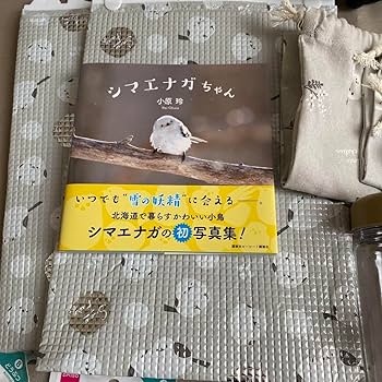 Amazon.co.jp: シマエナガ グッズ : ホーム＆キッチン