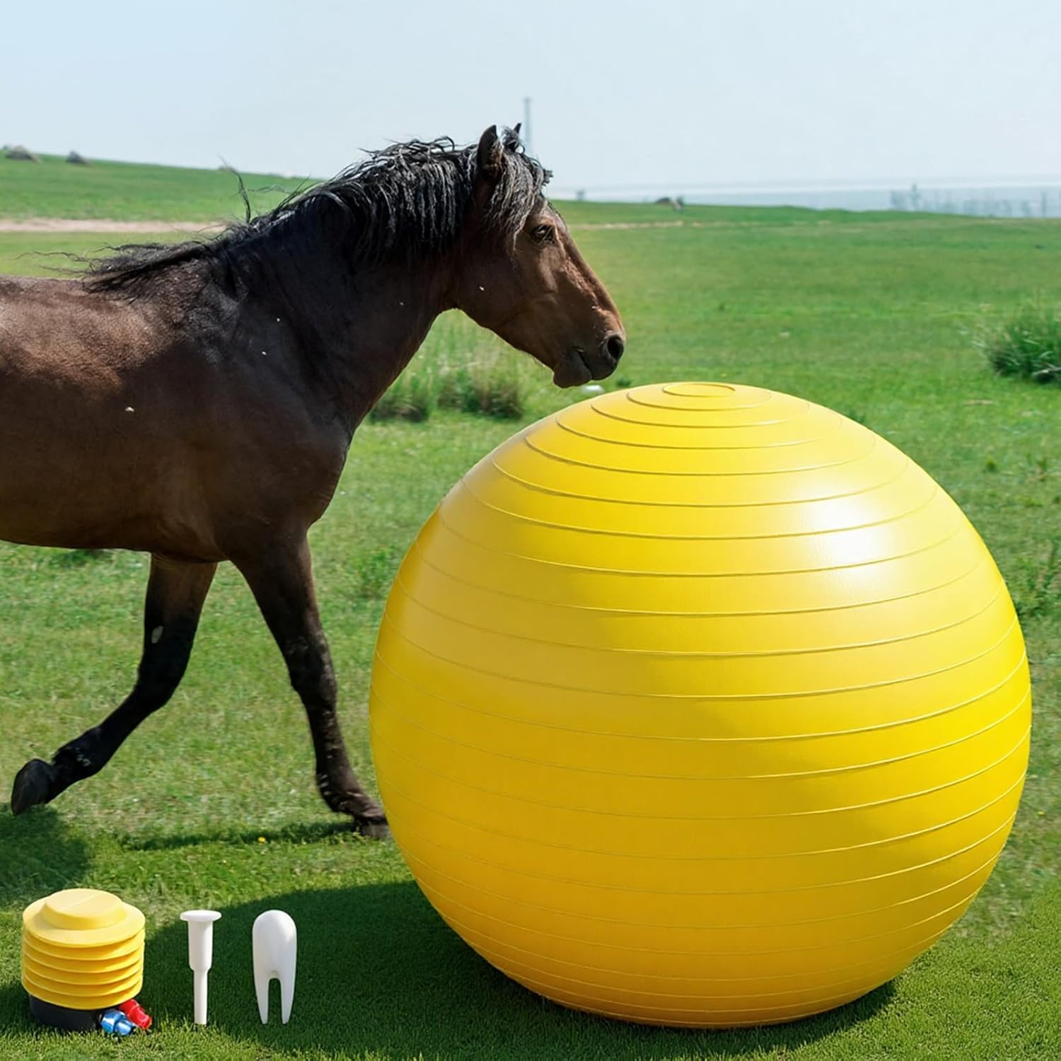 48 Inch Giant Herding Ball, Anti Burst Ball, Horse Toys for Horse Entertainment Play, Pump Included(Red)