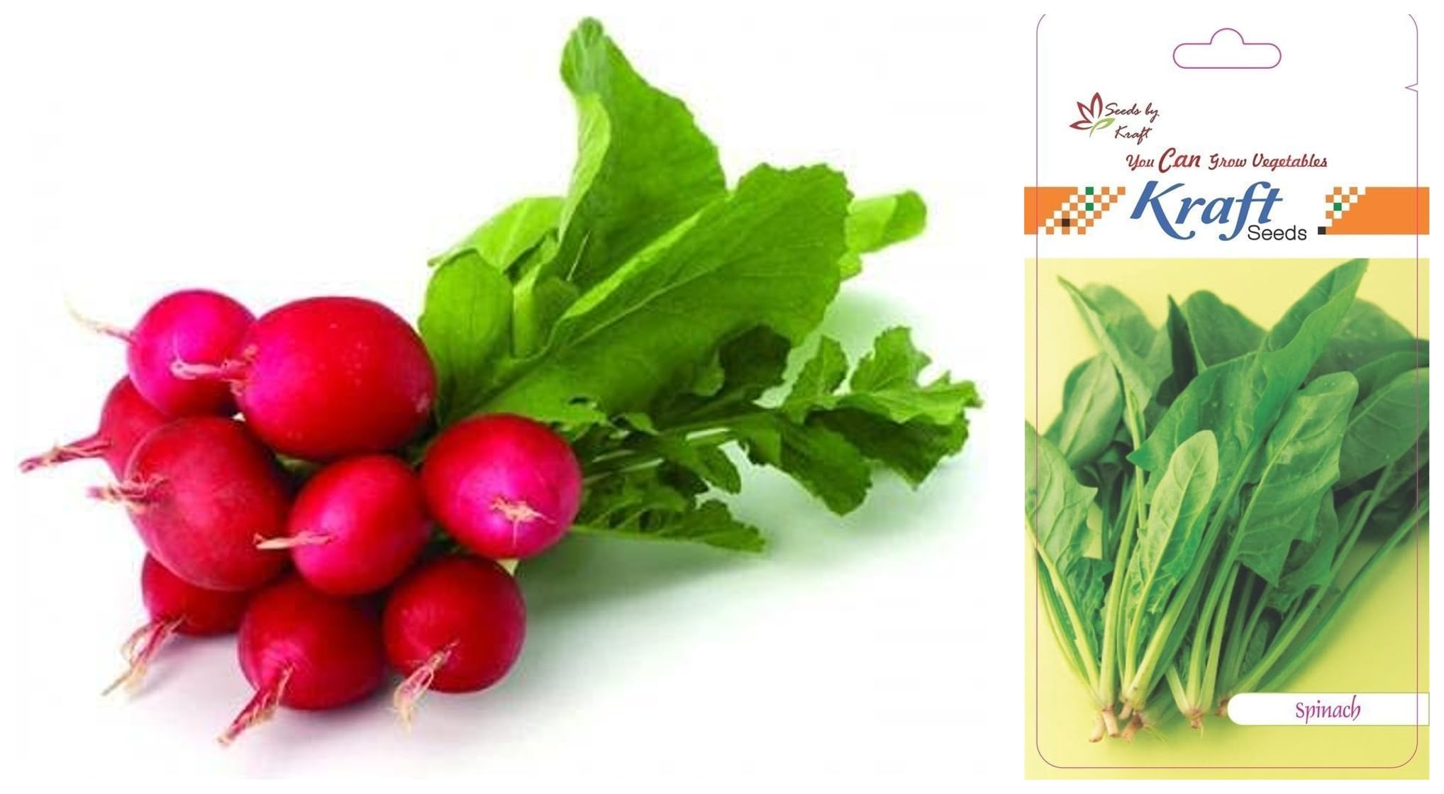 Kraft Seeds Vegetable Radish Plant Seeds Gardening (1 Packet 5gm) & Kraft Seeds Vegetable Spinach Seeds Garden (1 Packet, 6gm)