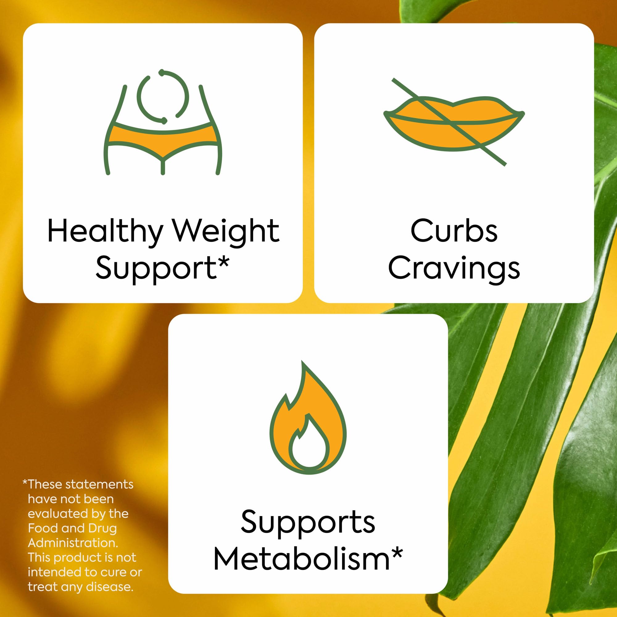 Plant People WonderBurn Metabolism Gummies, Ripe Mango Flavor (60 Count) — Amazon image 5