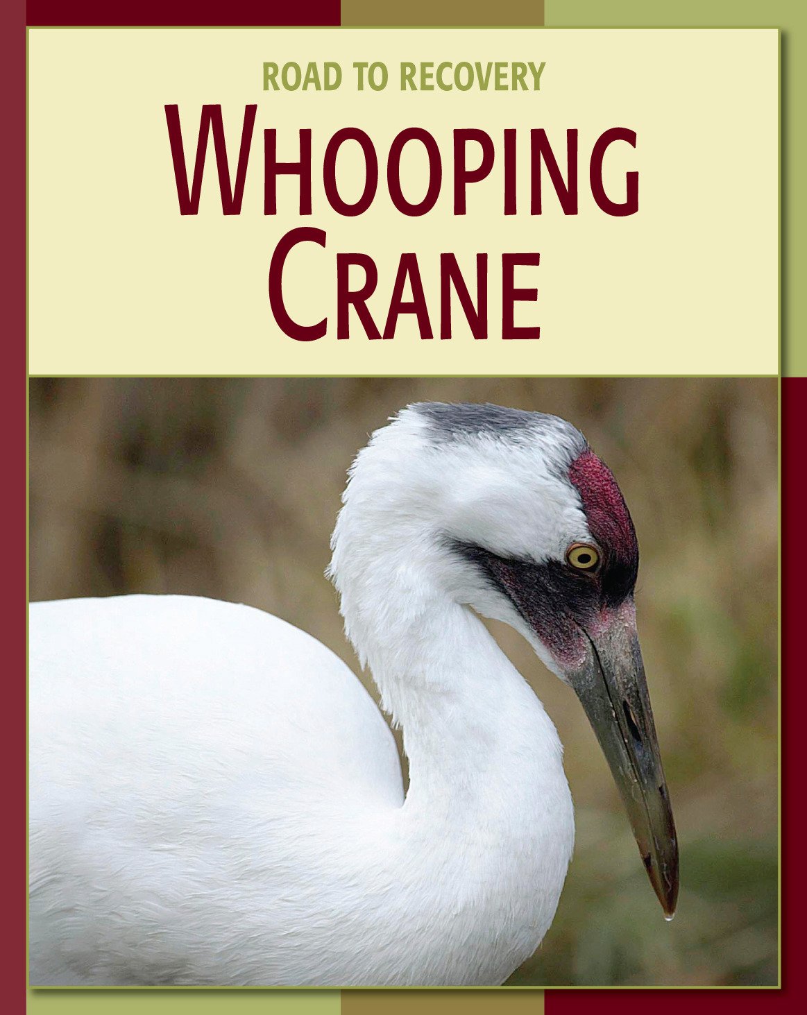 Whooping Crane (21st Century Skills Library: Road to Recovery)      Kindle Edition