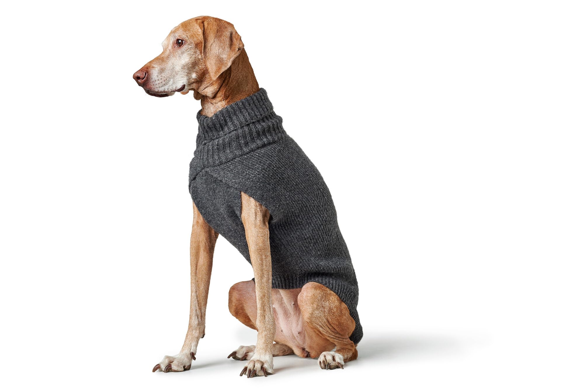 Hunter Hundepullover GENF, Farbe: anthrazit, Strickpullover für kalte Tage, weich, anschmiegsam, recyceltes Polyester, waschbar, umgschlagbarer Halskragen, hohe Elastizität, Größe: 30