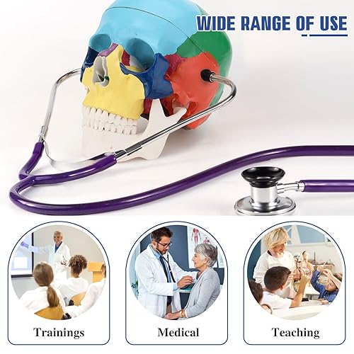 Miniatura 12 de RONTEN Modelo de cráneo humano, modelo de anatomía de cráneo, réplica de tamaño real, modelo anatómico anatómico para adultos con tapa de cráneo