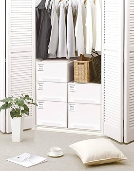 Amazon｜天馬 収納ボックス フィッツケース 押入れ 幅39×奥行74