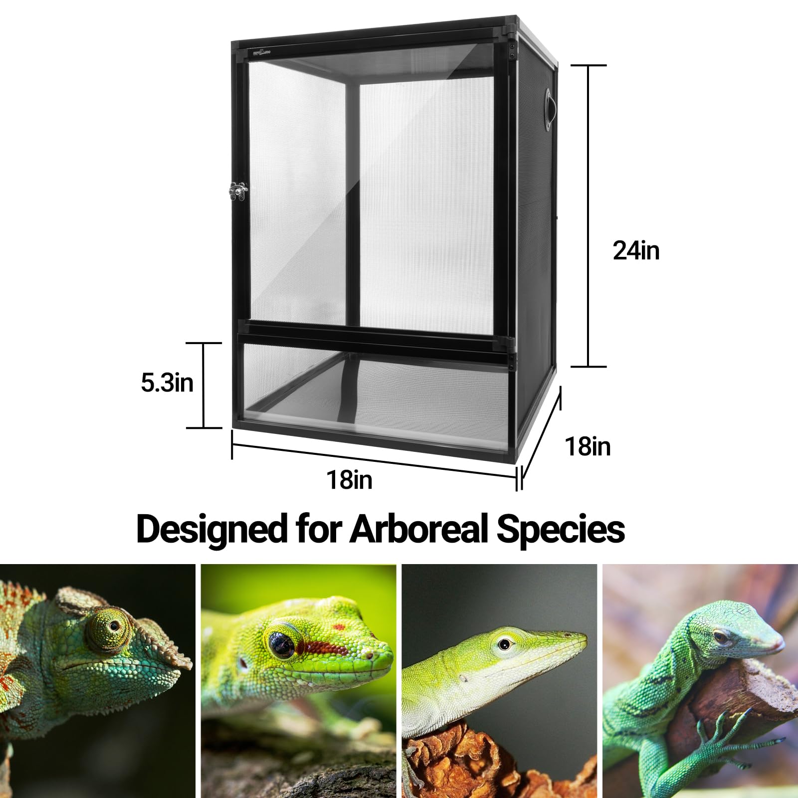 Amazon.com : REPTI ZOO 18
